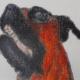 Antonio Pepe sells paintings online
