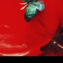 Giorgia  Albertelli  sells paintings online