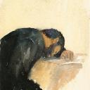 Lillomagro sells paintings online