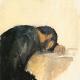Lillomagro sells paintings online