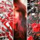 Sere Rouge sells paintings online