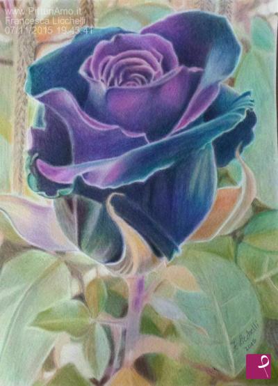 sold painting on PitturiAmo