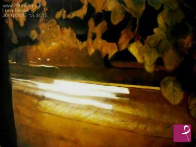sold painting on PitturiAmo