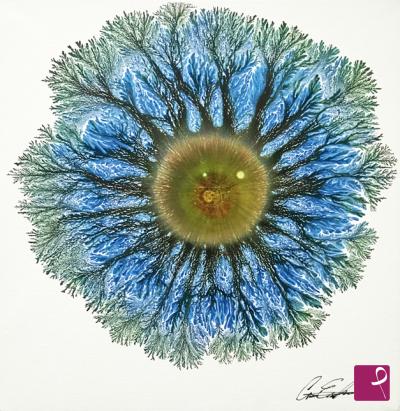 sold painting on PitturiAmo