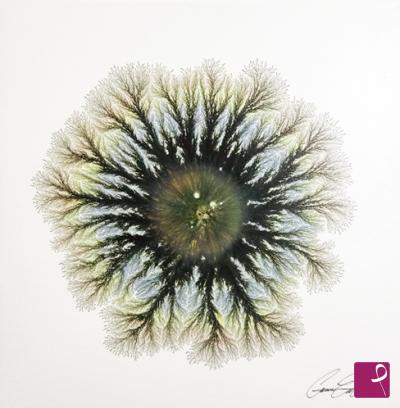sold painting on PitturiAmo
