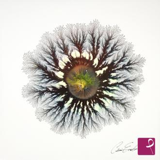 sold painting on PitturiAmo