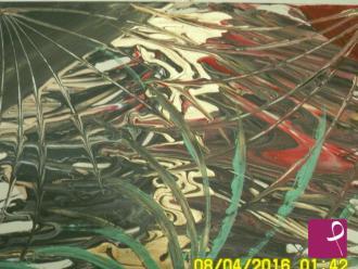 sold painting on PitturiAmo