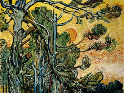 Van Gogh. Tra il grano e il cielo - Italia - Veneto - Vicenza - 100673