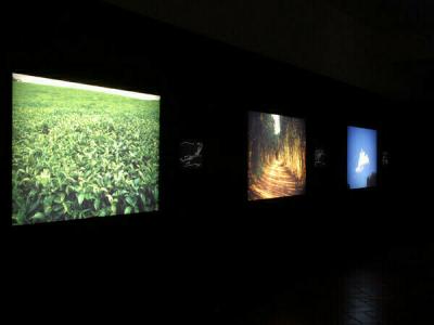 Museocity - Alfredo Jaar, Field, Road, Cloud - Italia - Lombardia - Milano - 98356