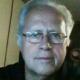 Alber vende quadri online