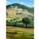Armando Tordoni vende quadri online