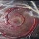 ∞art vende quadri online