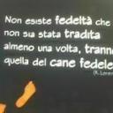 Danilo Appolloni vende quadri online