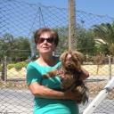 Eleonora Pelonero vende quadri online