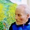 Gaetano Minale Detto  Il Molisano  vende quadri online