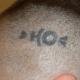 Ho vende quadri online