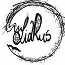 Lidrus vende quadri online