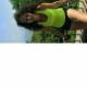Maria Rosa Mosca vende quadri online
