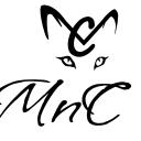 Mnc Martina vende quadri online