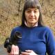 Paola Chiappini vende quadri online