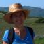Roberta vende quadri online