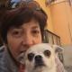 Scilla Spaccarelli vende quadri online