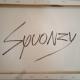 Squonzy vende quadri online