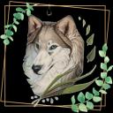 Wolf vende quadri online