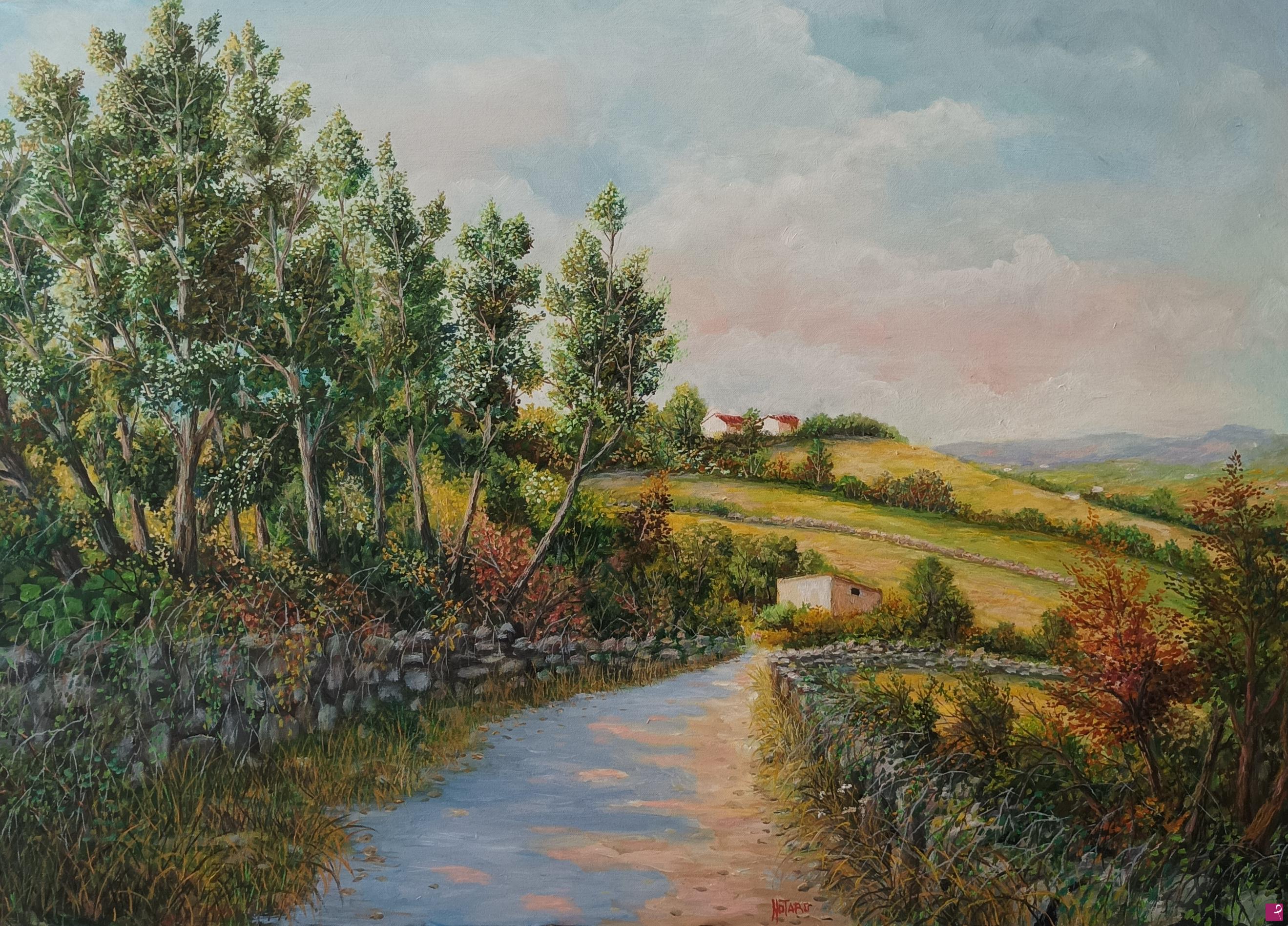 quadri in vendita online - 018. Sentiero di campagna, Samugheo (OR)