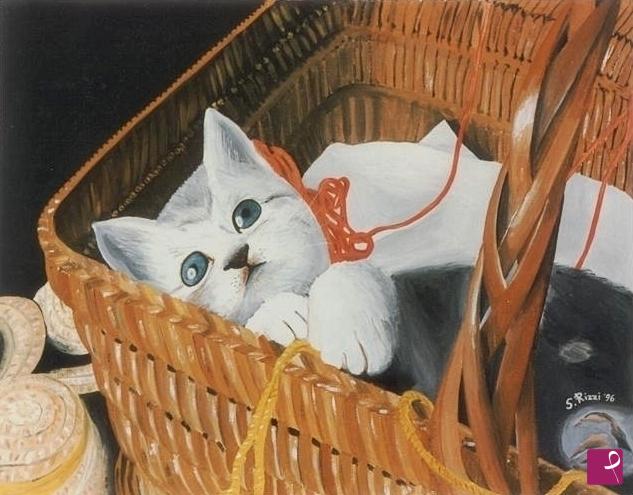 quadri in vendita online - 43 - CESTINO FELINO