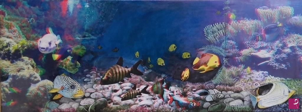 quadri in vendita online - 5 an reef