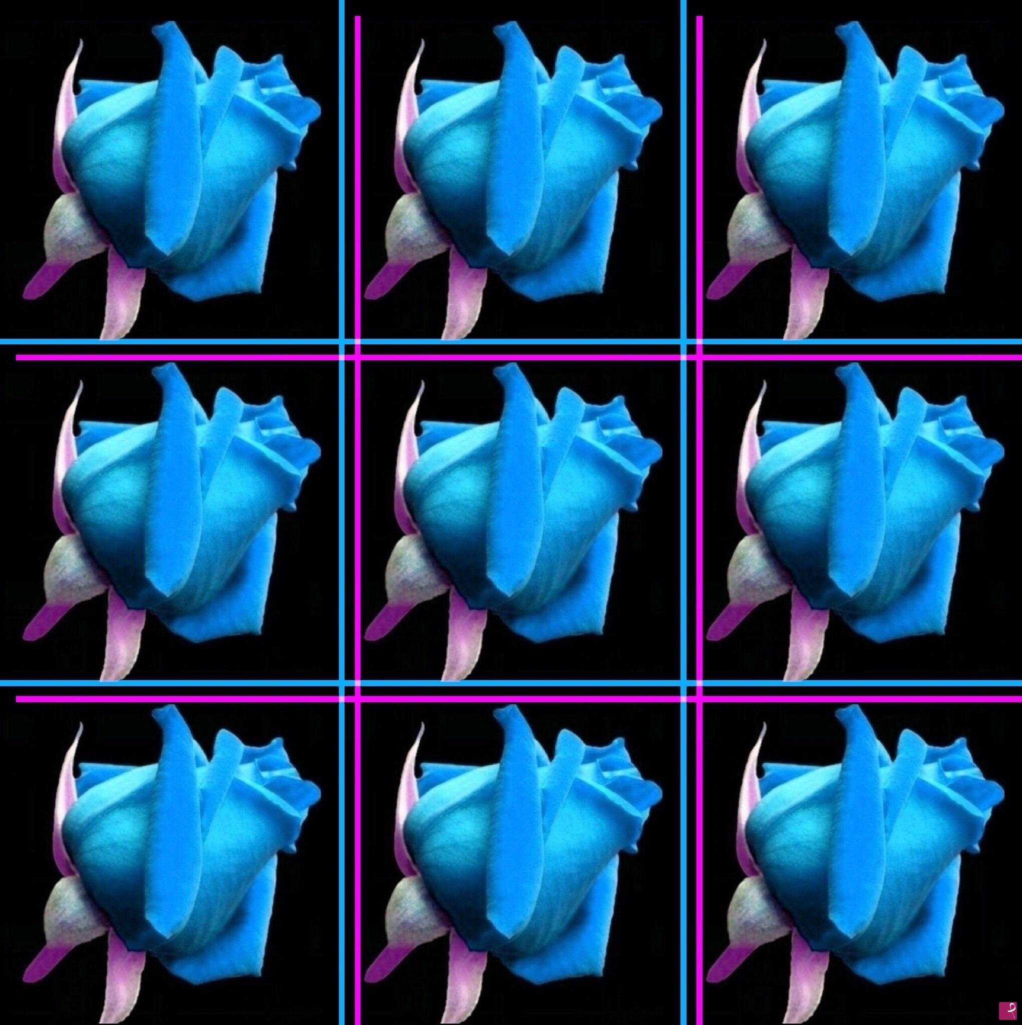 quadri in vendita online - 9 Blue roses