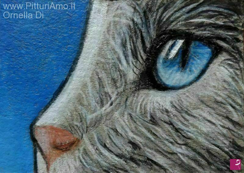 quadri in vendita online - aceo da collezione gatto occhi blu