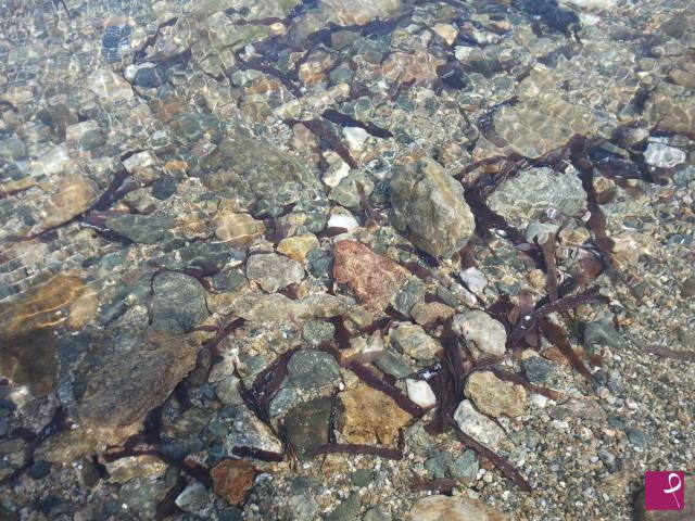 quadri in vendita online - Acqua di mare 