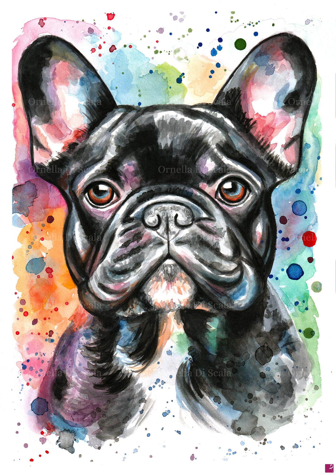 quadri in vendita online - Acquerello bulldog francese nero 