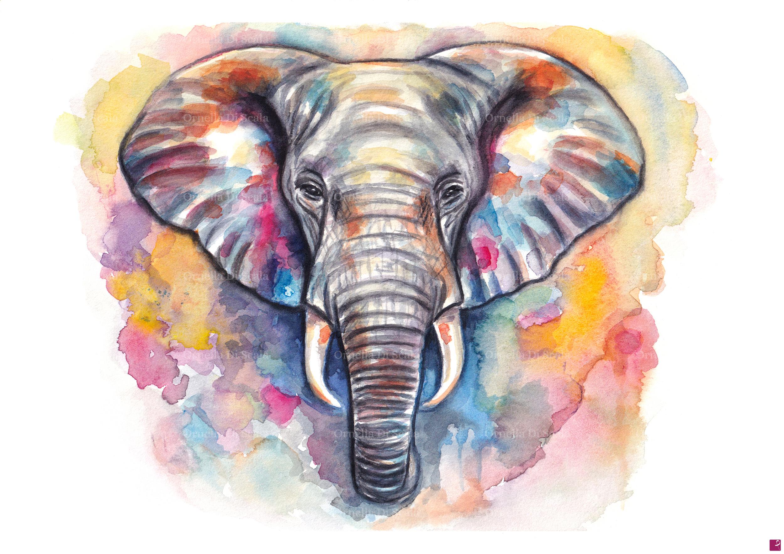 quadri in vendita online - Acquerello elefante dipinto a mano 