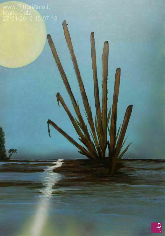 quadri in vendita online - Acrylic MSC 147