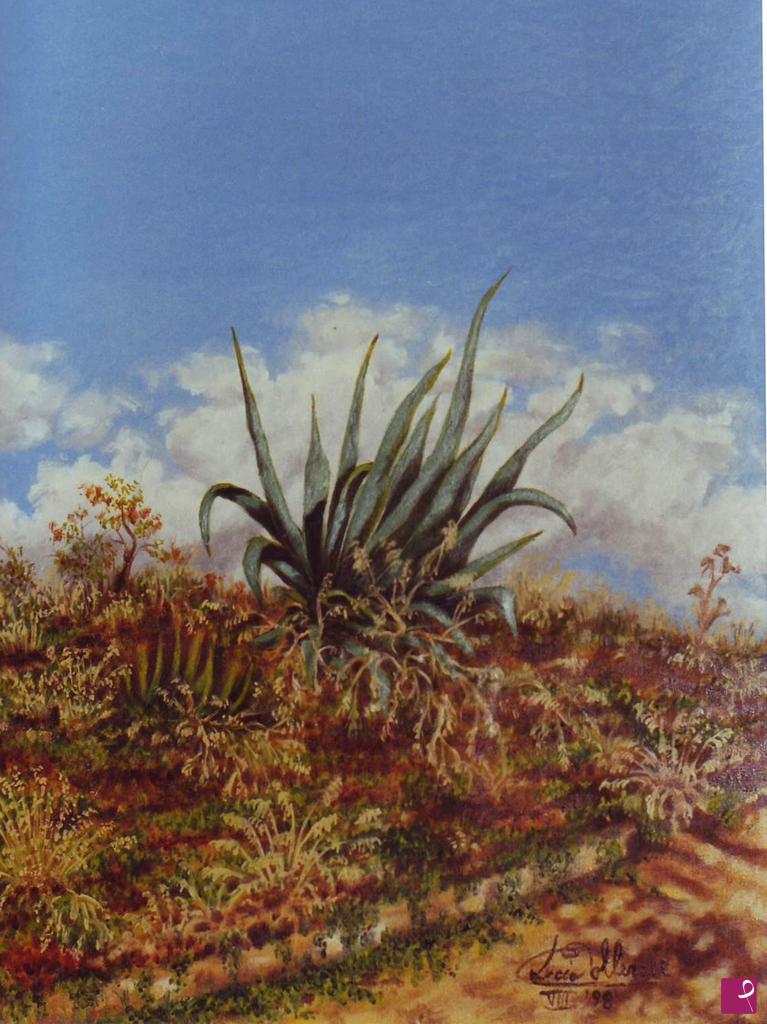 quadri in vendita online - AGAVE