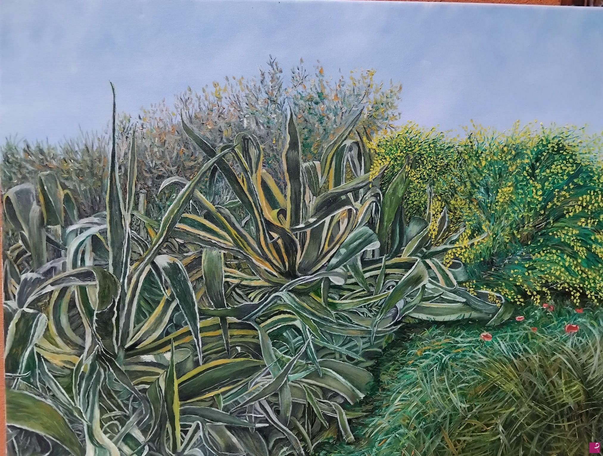quadri in vendita online - Agave nel Sinis