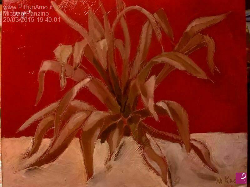 quadri in vendita online - agave rosse
