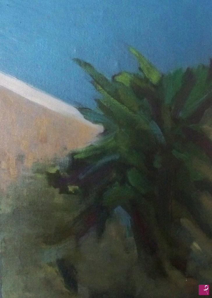 quadri in vendita online - agave sul muro del cortile