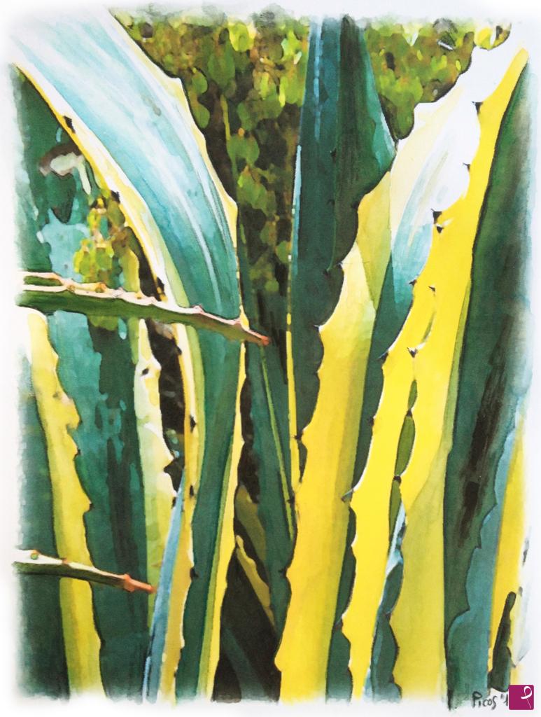 quadri in vendita online - Agave tisu