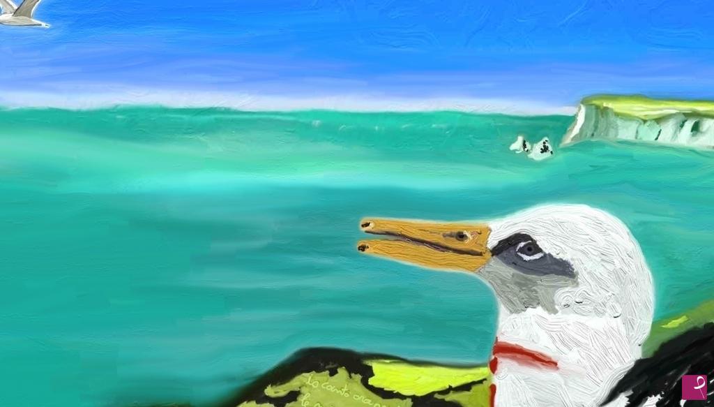 quadri in vendita online - albatros