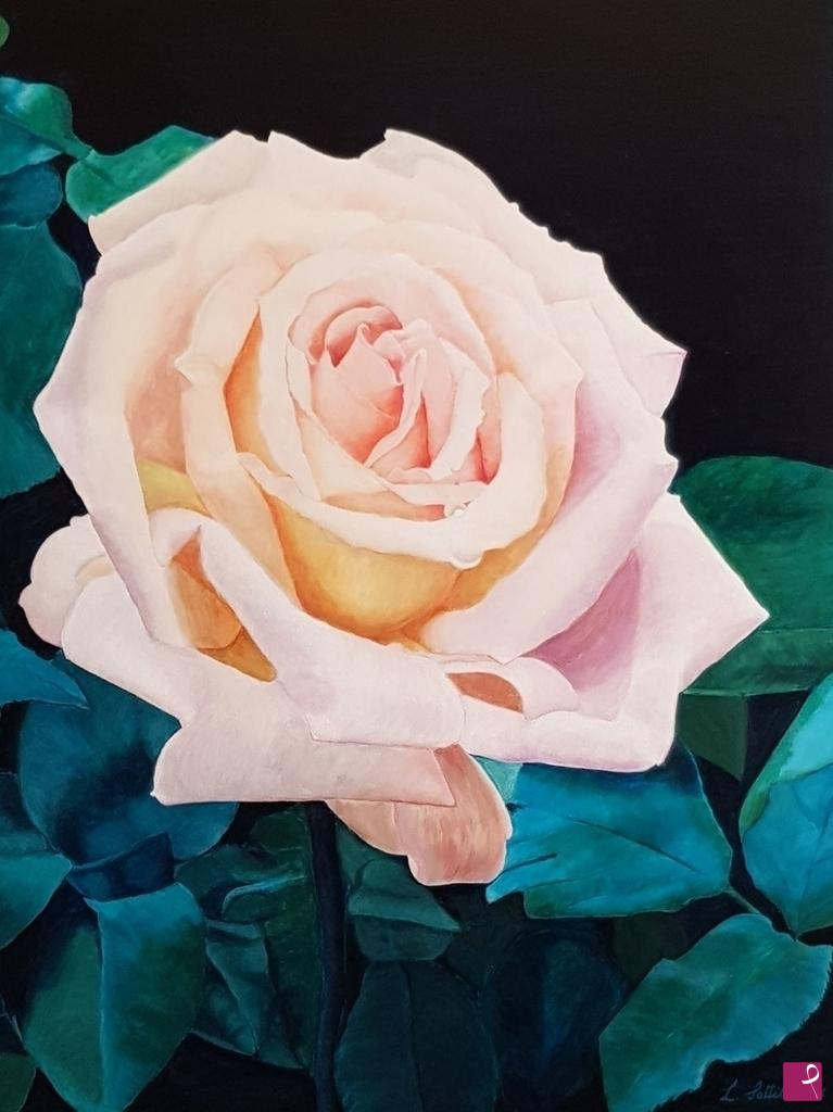 quadri in vendita online - Albedo Rose