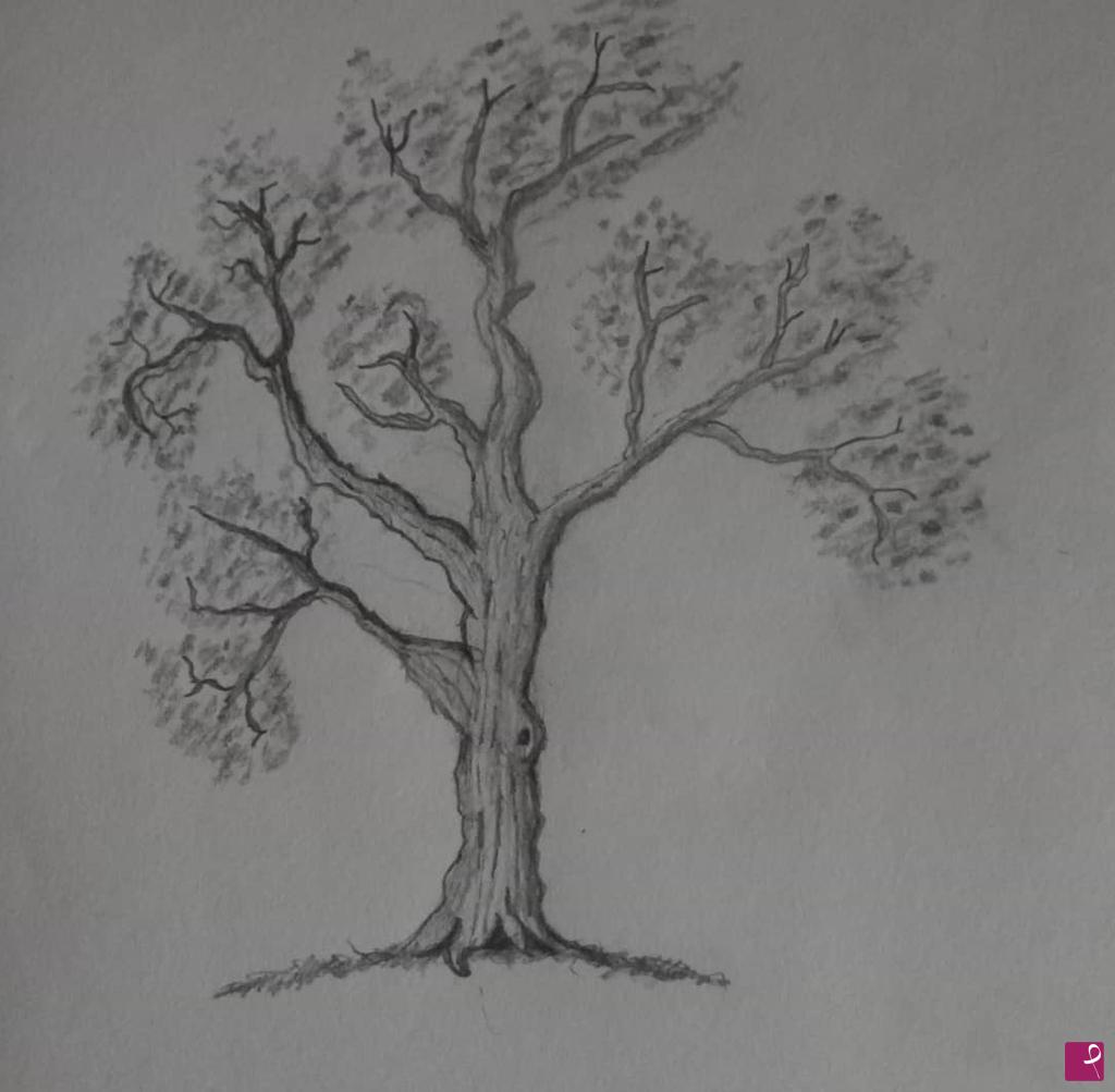 quadri in vendita online - Albero 1