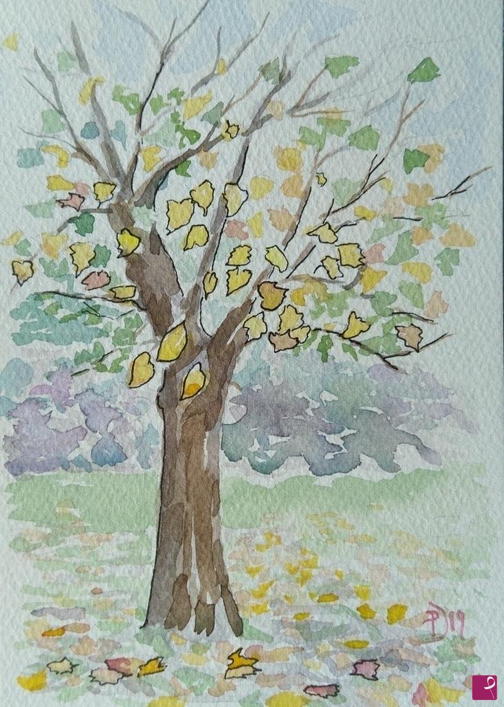 quadri in vendita online - Albero con foglie gialle. Autunno 2019 - Parco Nord