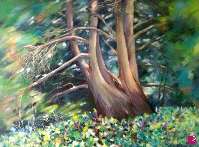 quadri in vendita online - Albero della mimosa