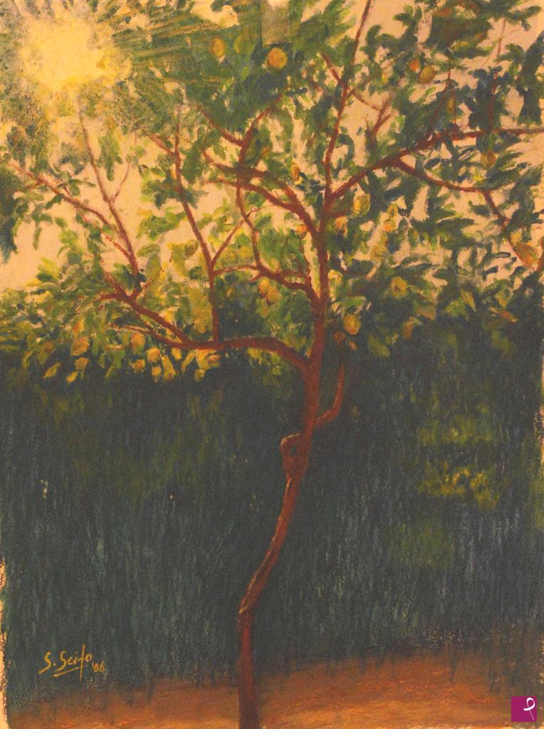 quadri in vendita online - albero di limoni