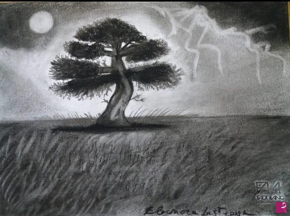 quadri in vendita online - Albero notturno