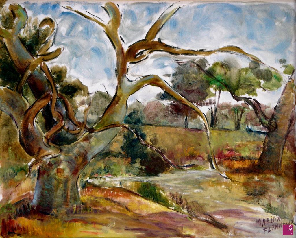 quadri in vendita online - Albero particolare nel paesaggio di Diever (Paesi Bassi)